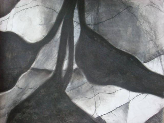 ESTUDIO III