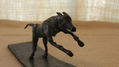 el galgo y laliebre