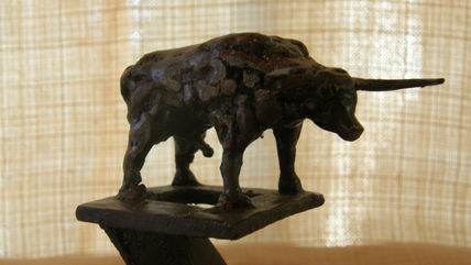 Toro