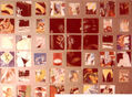 COLLAGE ESCONDIDO