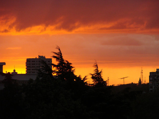 Atardecer en la ciudad 