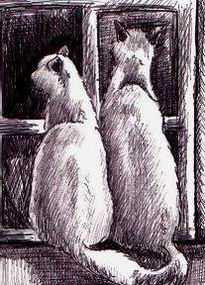 Gatos iii