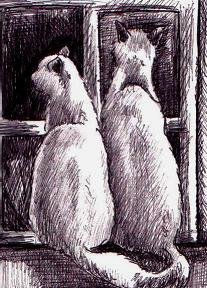 Gatos iii