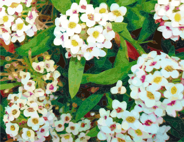 SILVESTRES
