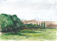 Paisaje vespertino en primavera del camino de mi paseo