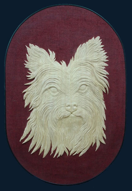 Peludo  chiquitìn