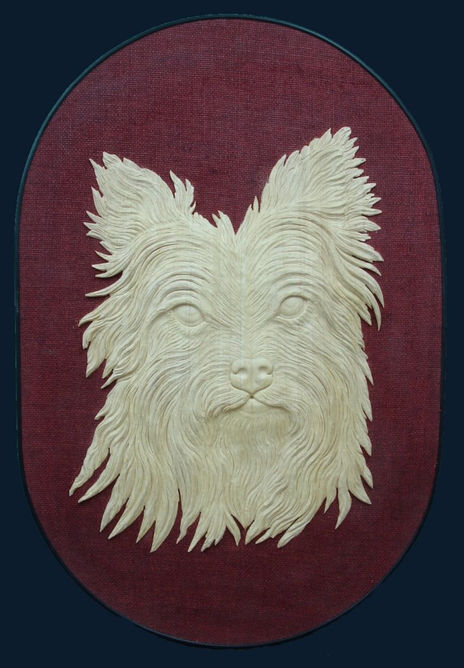 Peludo  chiquitìn