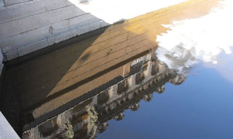 reflejos
