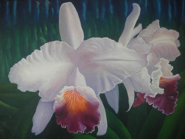 Orquideas Acrylic Canvas Floral Painting