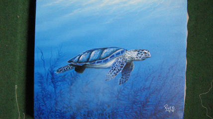 Tortuguero