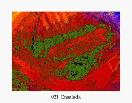 021 Ensalada