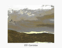 153 Gaviotas