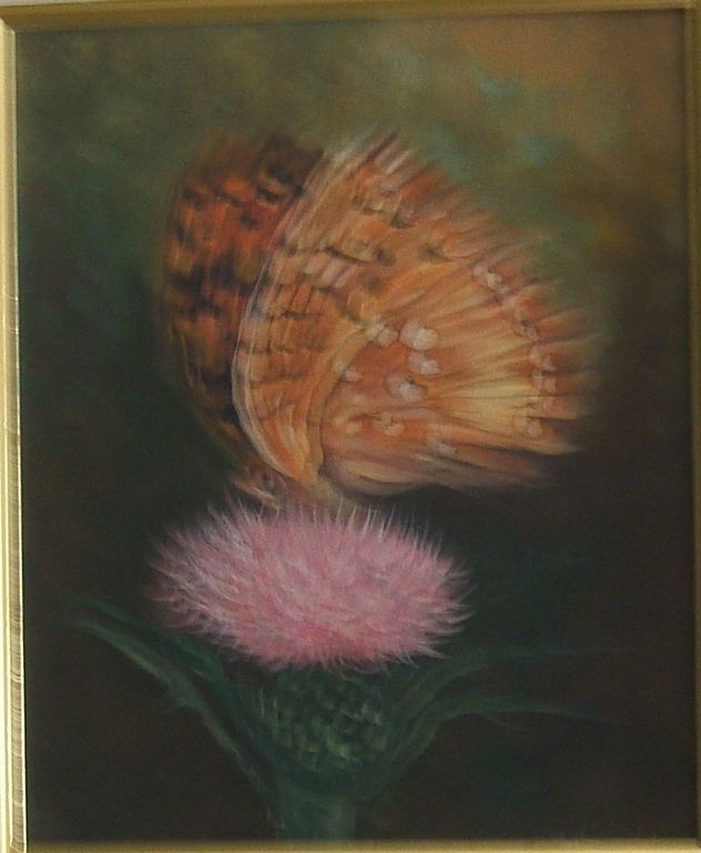 Mariposa
