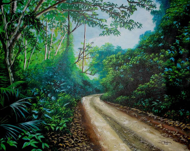 Camino a San Carlos de Osa