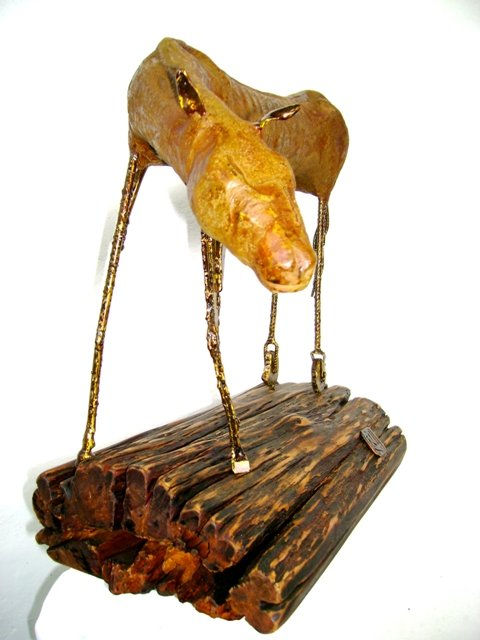 CABALLO  VIEJO
