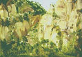 07_MONSERRAT, Cataluña, apunte