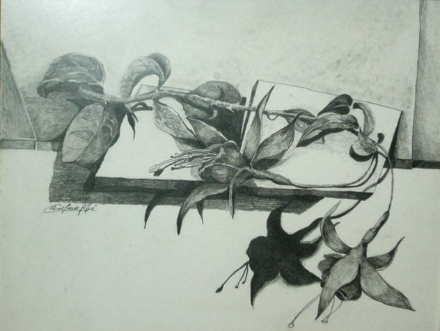 del natural, ZARCILLOS DE LA REINA