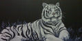 tigre