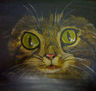 gato salvaje