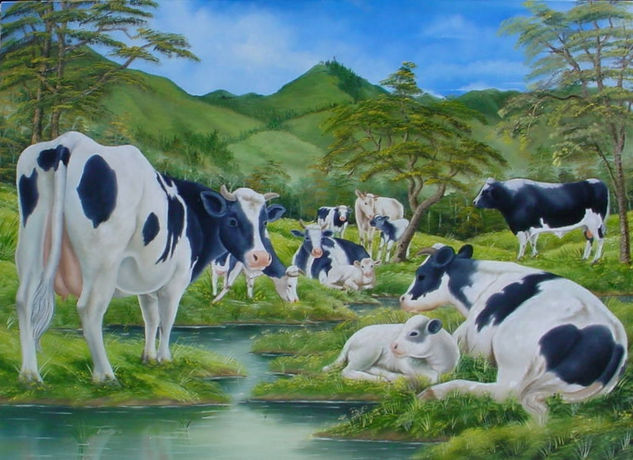 vacas Oil Canvas