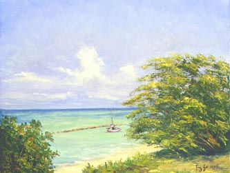 02-DIVIDIVI ,Aruba Oil Canvas Landscaping