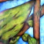 pinturas thumbnail 2