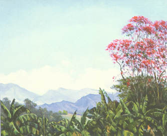 06_quindío