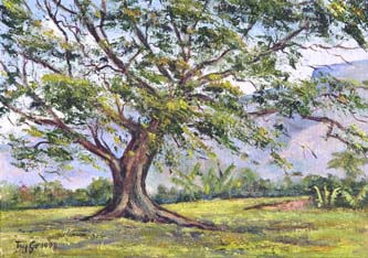 07_CEIBA,Tolima Oil Canvas Landscaping