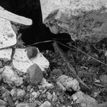 La Ciudad. thumbnail 1