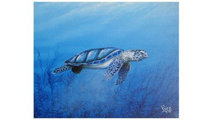 Tortuguero,costa...