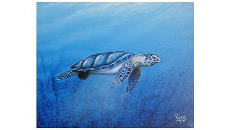 Tortuguero,costa...