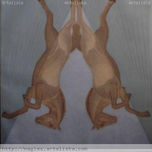 animales thumbnail 1