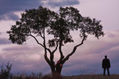 ENCINA