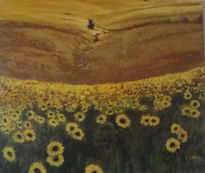 Campo de girasoles