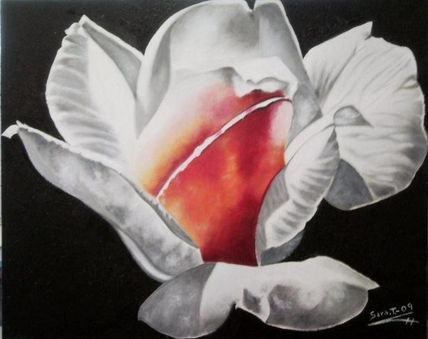 Flor