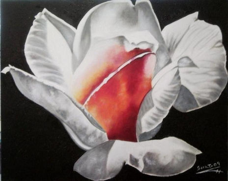 Flor