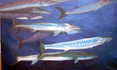 Peces