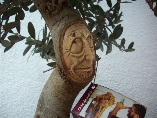Bonsai olivo2.
