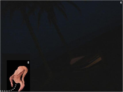 Numeros Nocturnos 3