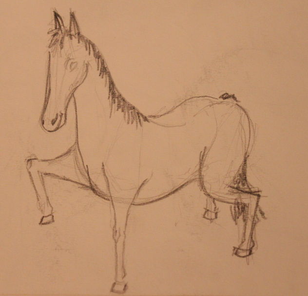 cuaderno de bocetos17