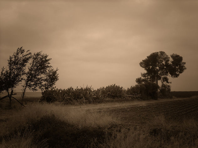 Fuerte VIento de Costado 