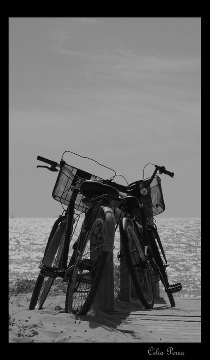 Bicicletas