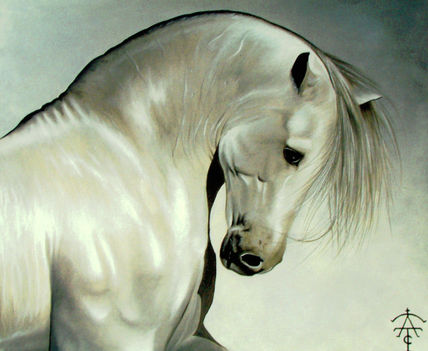 Cabeza de caballo