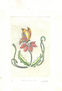 MARIPOSA Y FLOR