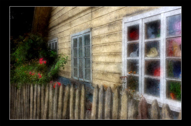 Las ventanas de la casa