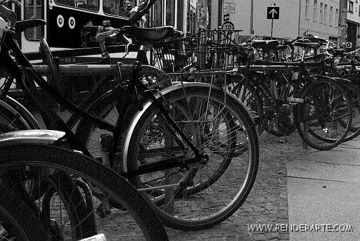 Bicicletas Viajes Blanco y Negro (Digital)