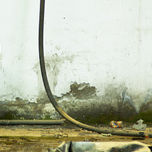 Inerme thumbnail 1