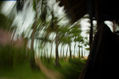 Thailand2