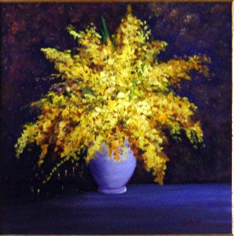 Mimosa