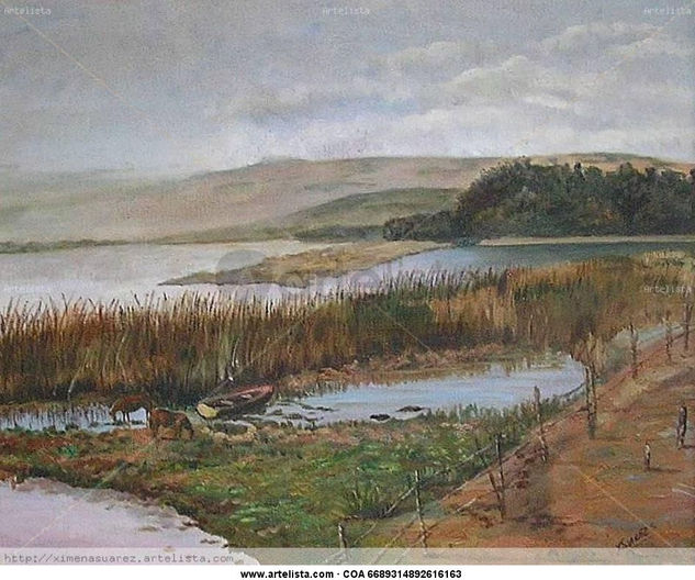 Laguna de Petrel Oleo Oil Canvas Landscaping